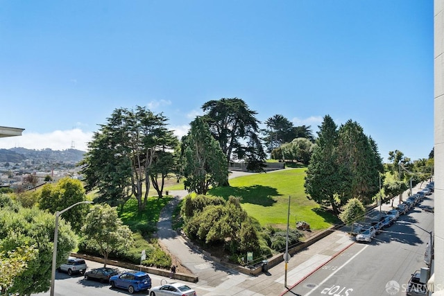 2500 Steiner St Unit 3, San Francisco, CA 94115 - view of community