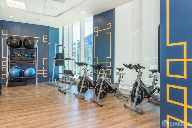 exercise room featuring floor to ceiling windows, a drop ceiling, and hardwood / wood-style flooring