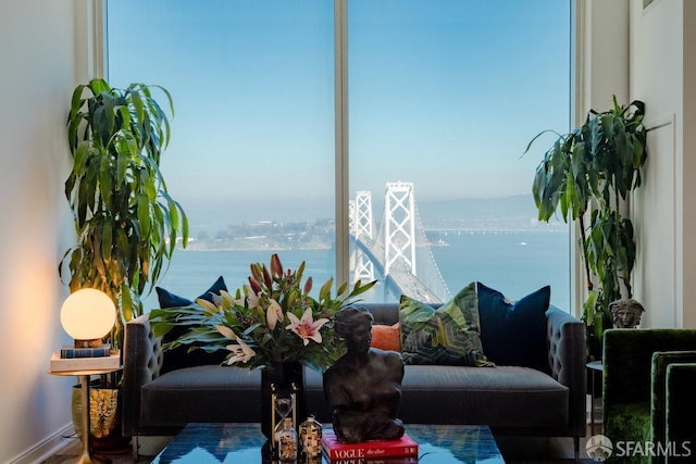 living room featuring a healthy amount of sunlight and a water view