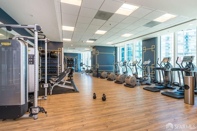 workout area with floor to ceiling windows, a drop ceiling, and hardwood / wood-style flooring