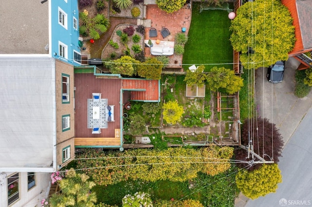 bird's eye view