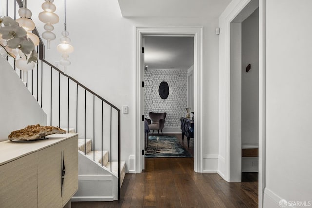 entrance foyer with dark hardwood / wood-style flooring