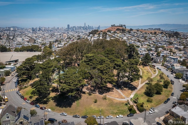 1100 Cortland Ave, San Francisco, CA 94110 - photo 41