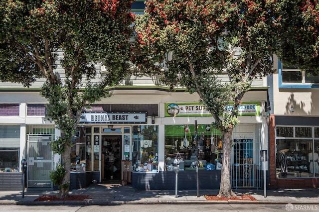 1100 Cortland Ave, San Francisco, CA 94110 - photo 60