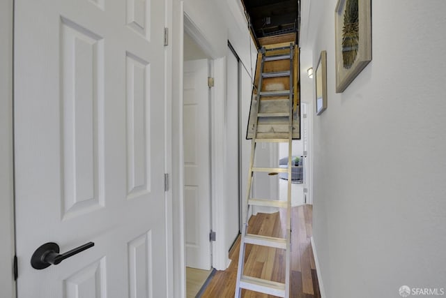 hallway featuring wood-type flooring