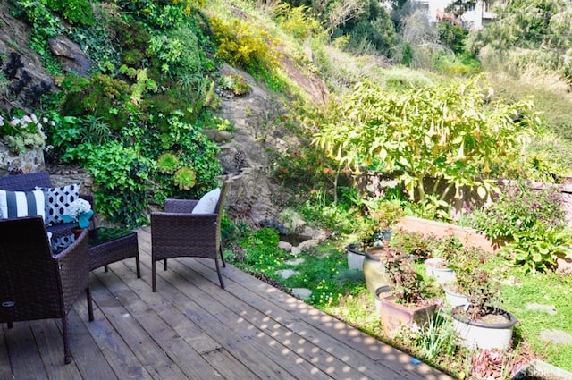 wooden terrace with a vegetable garden