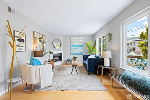 3421 25th St Unit 4, San Francisco, CA 94110 - living area featuring wood finished floors and a fireplace with raised hearth