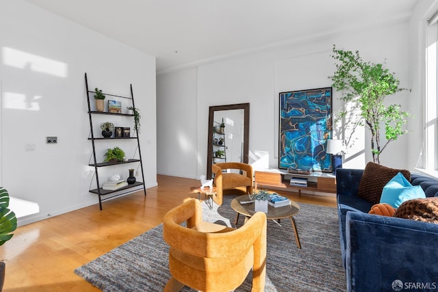 living room featuring hardwood / wood-style flooring