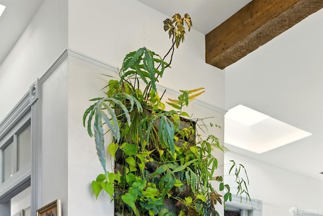370 Sanchez St, San Francisco, CA 94114 - detailed view of a skylight