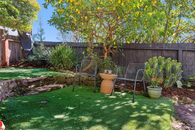 view of yard featuring a fenced backyard