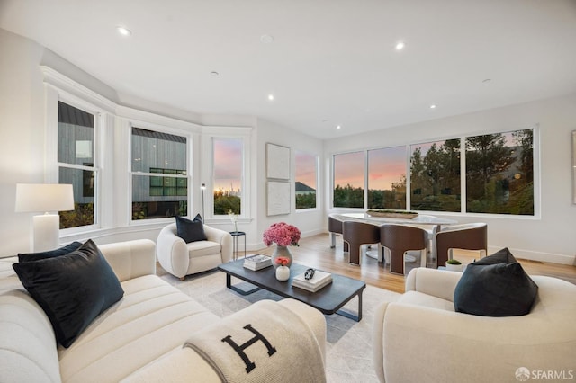 living room featuring light hardwood / wood-style flooring