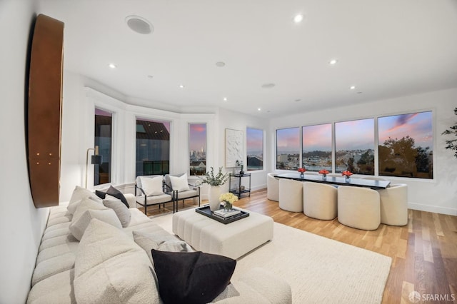 living room with light hardwood / wood-style floors