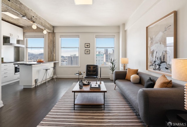 living area featuring a city view, baseboards, a healthy amount of sunlight, and dark wood-style floors