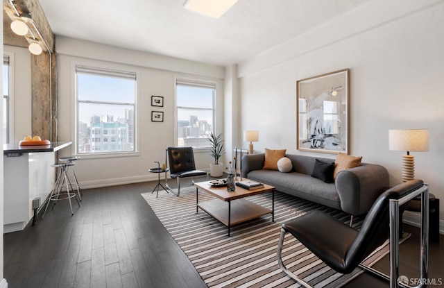 living room featuring baseboards, wood finished floors, and a view of city