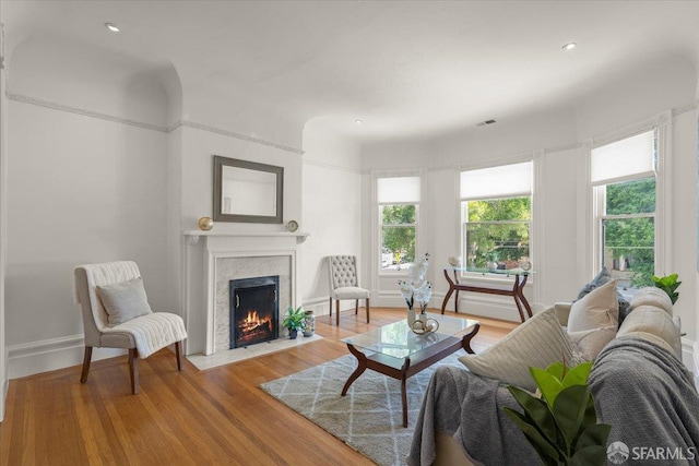 787 Arguello Blvd, San Francisco, CA 94118 - living area featuring a fireplace, light wood-type flooring, and baseboards