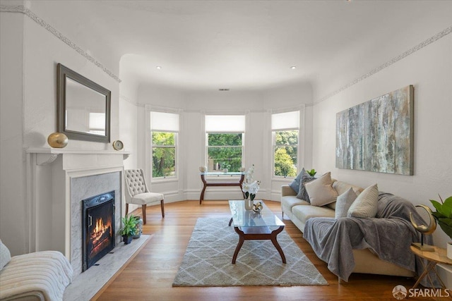 787 Arguello Blvd, San Francisco, CA 94118 - living area featuring a fireplace and wood finished floors