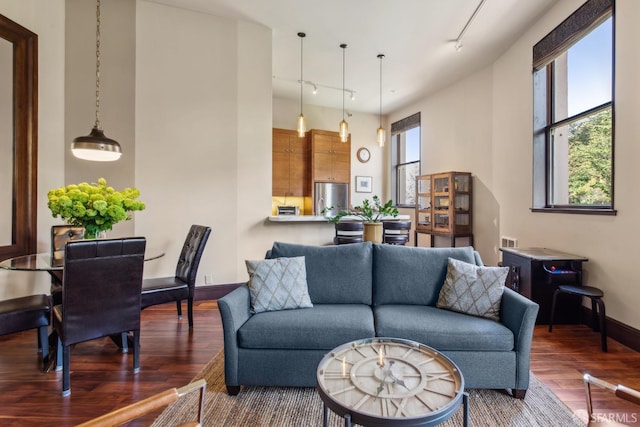 living room with baseboards, wood finished floors, and rail lighting