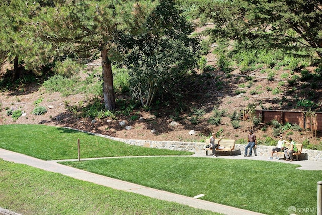 surrounding community with a lawn