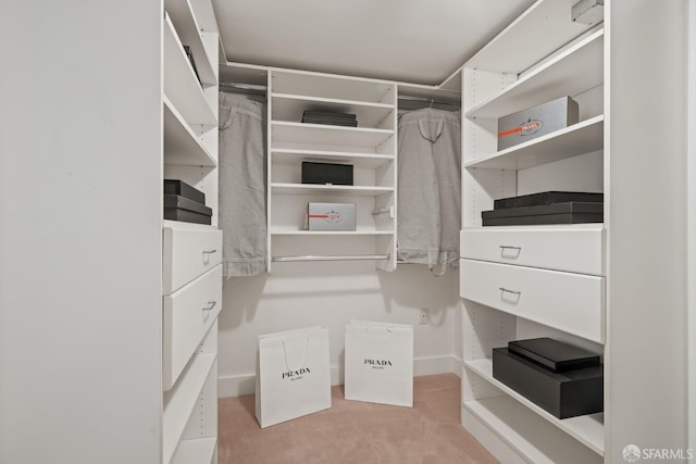 39 Boardman Pl Unit 105, San Francisco, CA 94103 - spacious closet featuring light colored carpet