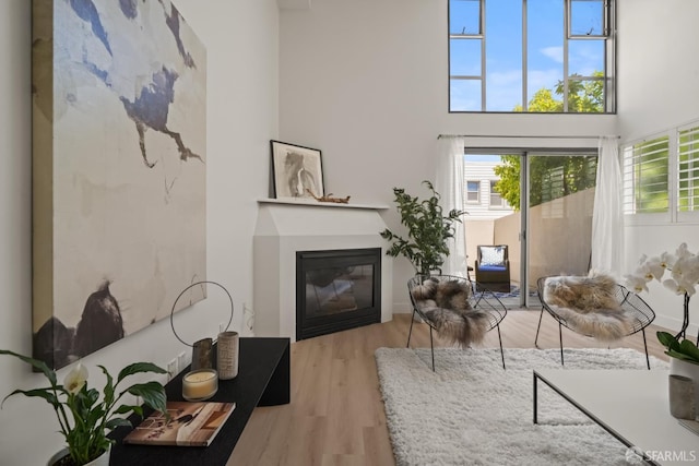 39 Boardman Pl Unit 105, San Francisco, CA 94103 - living area featuring a high ceiling, light wood-style flooring, and a glass covered fireplace