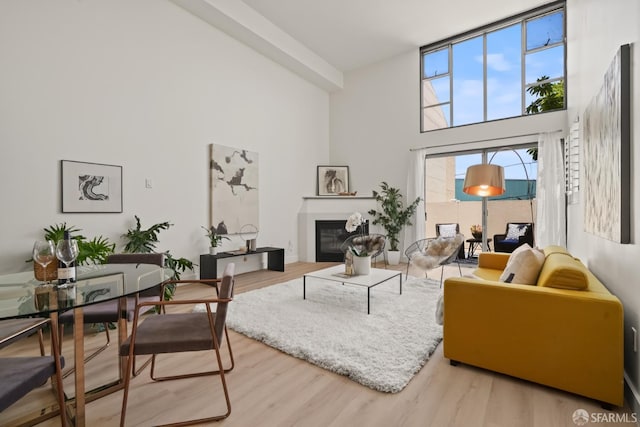 39 Boardman Pl Unit 105, San Francisco, CA 94103 - living room featuring a towering ceiling, wood finished floors, and a glass covered fireplace