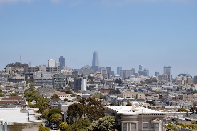 3294 Clay St Unit 6, San Francisco, CA 94123 - skyline view