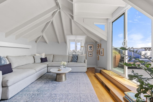 3294 Clay St Unit 6, San Francisco, CA 94123 - living room featuring wood finished floors and plenty of natural light