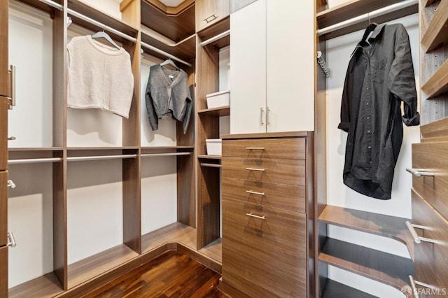 spacious closet featuring dark wood-style floors