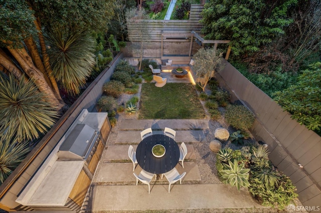 view of yard with area for grilling, a fenced backyard, and a patio area