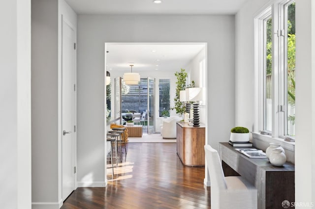 entryway with dark wood-style flooring