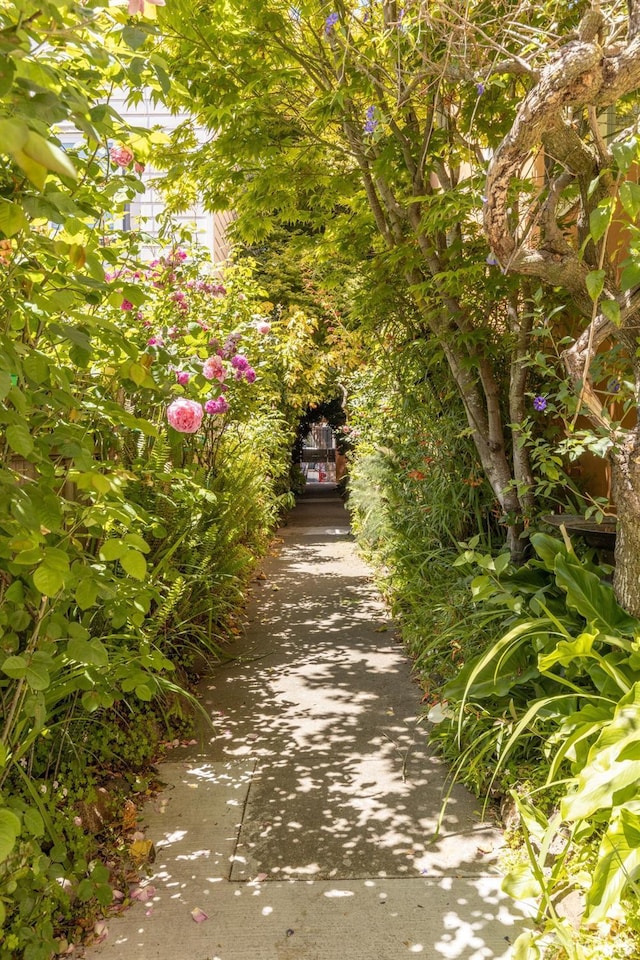 126 Scott St, San Francisco, CA 94117 - view of street