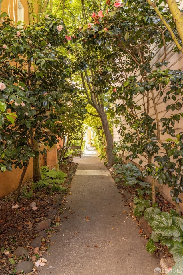 126 Scott St, San Francisco, CA 94117 - view of home's community