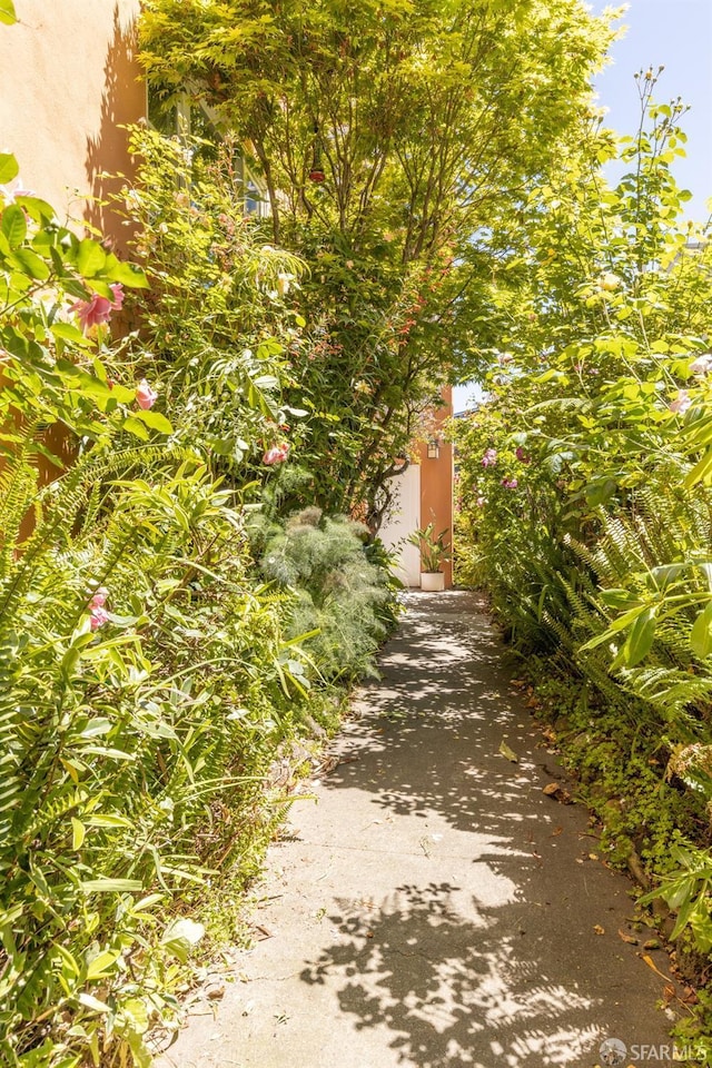 126 Scott St, San Francisco, CA 94117 - view of asphalt driveway