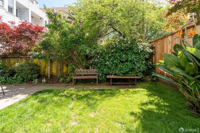 350 Dolores St, San Francisco, CA 94110 - view of yard featuring a fenced backyard