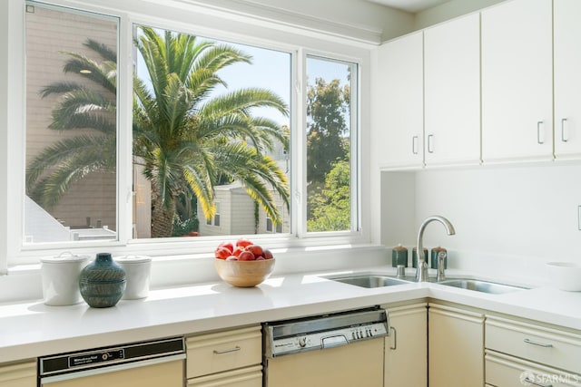 350 Dolores St, San Francisco, CA 94110 - kitchen featuring white dishwasher, light countertops, a sink, and a wealth of natural light