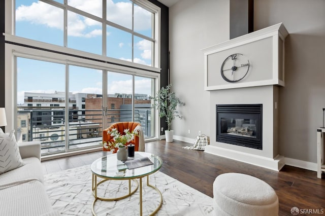 living room featuring dark hardwood / wood-style flooring and a high ceiling