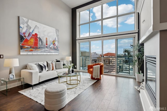 living room with a high ceiling and hardwood / wood-style floors