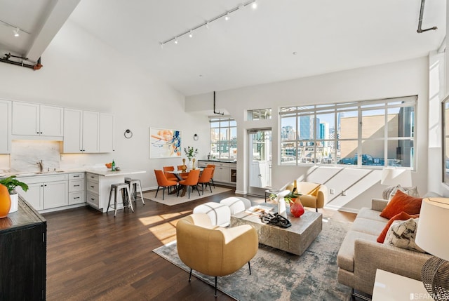 living room featuring sink, rail lighting, and dark hardwood / wood-style floors