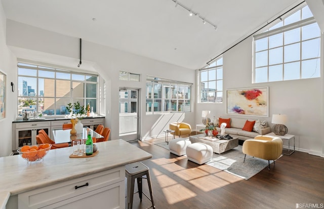 sunroom with vaulted ceiling and track lighting