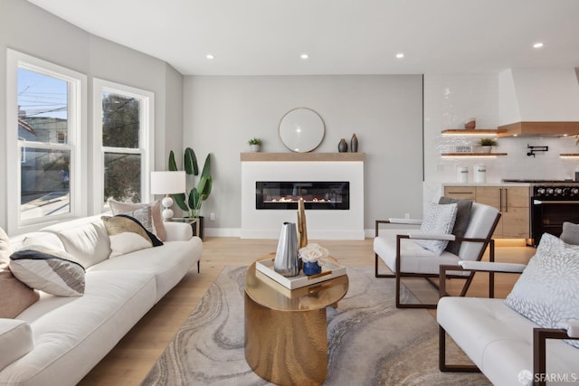 living room featuring light hardwood / wood-style flooring