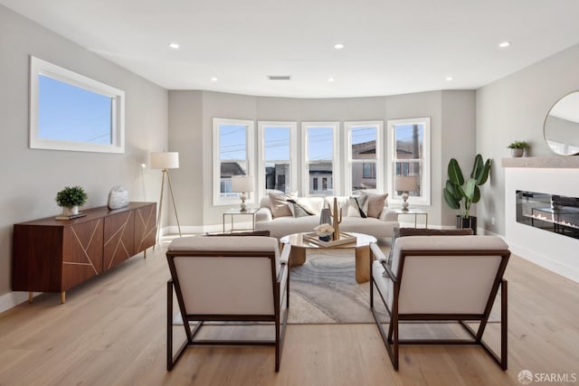 living room featuring light hardwood / wood-style floors