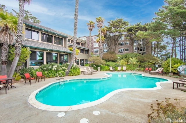 view of swimming pool with a patio