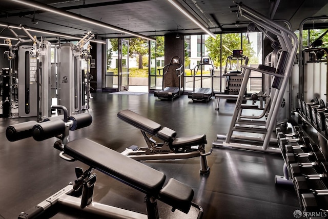 exercise room featuring a wall of windows