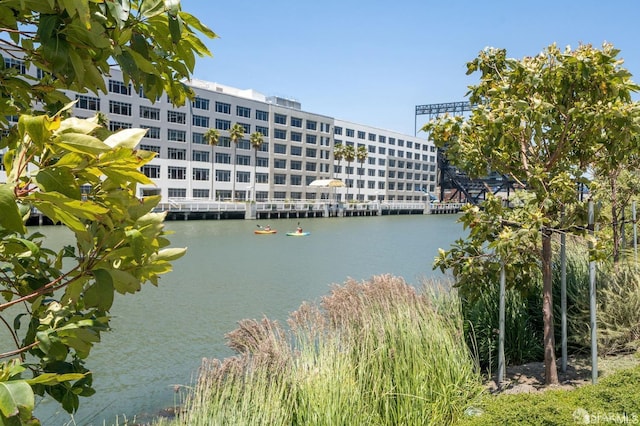 110 Channel St Unit 104, San Francisco, CA 94158 - photo 7