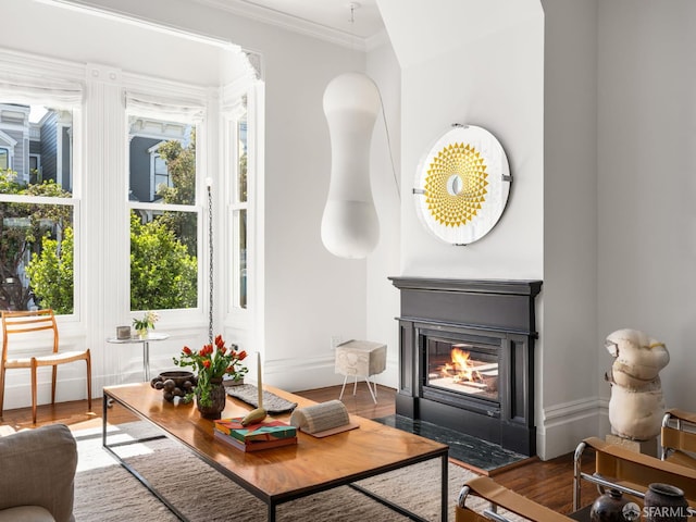 1850 Laguna St, San Francisco, CA 94115 - living area featuring wood finished floors, a fireplace with flush hearth, healthy amount of natural light, and ornamental molding
