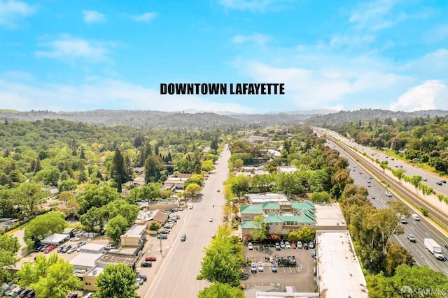 bird's eye view