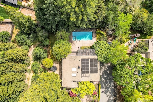 bird's eye view