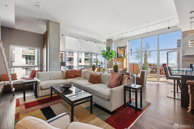 living room with dark hardwood / wood-style flooring and rail lighting