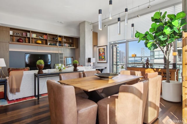 dining space with dark hardwood / wood-style floors