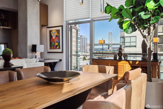 dining room with a wealth of natural light